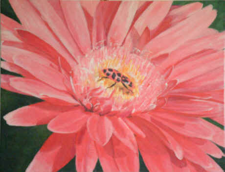 wpe3.jpg (17437 bytes)